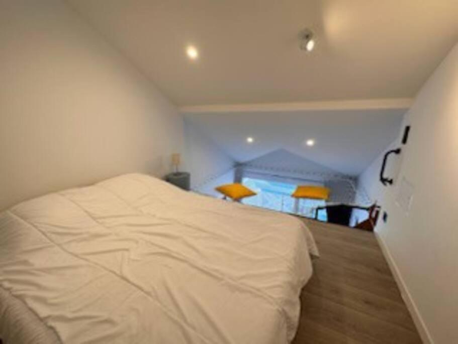 "Le Filet Du Lac" Appartement Atypique, 5 Personnes, Duplex, Vue Lac, Acces Parc Aquatique Gratuit Talmont-Saint-Hilaire Extérieur photo